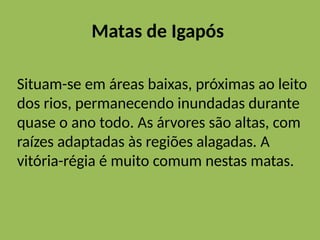 Matas de Igapós
Situam-se em áreas baixas, próximas ao leito
dos rios, permanecendo inundadas durante
quase o ano todo. As árvores são altas, com
raízes adaptadas às regiões alagadas. A
vitória-régia é muito comum nestas matas.
 
