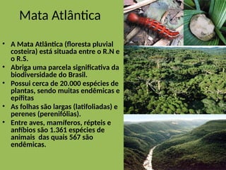 Mata Atlântica
• A Mata Atlântica (floresta pluvial
costeira) está situada entre o R.N e
o R.S.
• Abriga uma parcela significativa da
biodiversidade do Brasil.
• Possui cerca de 20.000 espécies de
plantas, sendo muitas endêmicas e
epífitas
• As folhas são largas (latifoliadas) e
perenes (perenifólias).
• Entre aves, mamíferos, répteis e
anfíbios são 1.361 espécies de
animais das quais 567 são
endêmicas.
 