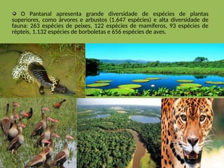 O Pantanal apresenta grande diversidade de espécies de plantas
superiores, como árvores e arbustos (1.647 espécies) e alta diversidade de
fauna: 263 espécies de peixes, 122 espécies de mamíferos, 93 espécies de
répteis, 1.132 espécies de borboletas e 656 espécies de aves.
 