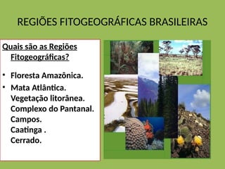 REGIÕES FITOGEOGRÁFICAS BRASILEIRAS
Quais são as Regiões
Fitogeográficas?
• Floresta Amazônica.
• Mata Atlântica.
Vegetação litorânea.
Complexo do Pantanal.
Campos.
Caatinga .
Cerrado.
 