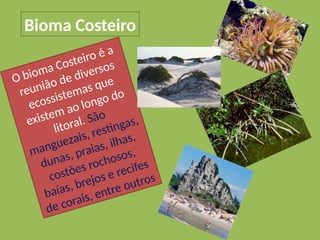 Bioma Costeiro
O bioma Costeiro é a
reunião de diversos
ecossistemas que
existem ao longo do
litoral. São
manguezais, restingas,
dunas, praias, ilhas,
costões rochosos,
baías, brejos e recifes
de corais, entre outros
 