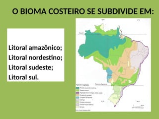O BIOMA COSTEIRO SE SUBDIVIDE EM:
Litoral amazônico;
Litoral nordestino;
Litoral sudeste;
Litoral sul.
 