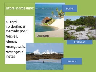 Litoral nordestino:
:
o litoral
nordestino é
marcado por :
•recifes,
•dunas,
•manguezais,
•restingas e
matas .
Litoral Norte
DUNAS
RECIFES
RESTINGAS
 