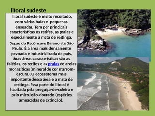 litoral sudeste
litoral sudeste é muito recortado,
com várias baías e pequenas
enseadas. Tem por principais
características os recifes, as praias e
especialmente a mata de restinga.
Segue do Recôncavo Baiano até São
Paulo. É a área mais densamente
povoada e industrializada do país.
Suas áreas características são as
falésias, os recifes e as praias de areias
monazíticas (mineral de cor marrom-
escura). O ecossistema mais
importante dessa área é a mata de
restinga. Essa parte do litoral é
habitada pela preguiça-de-coleira e
pelo mico-leão-dourado (espécies
ameaçadas de extinção).
 