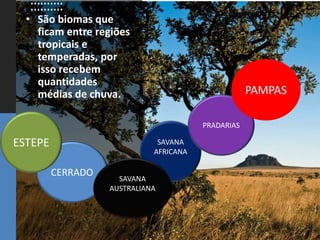 Biomas brasileiro e do mundo | PPTX