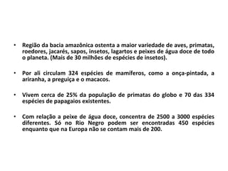 Região da bacia amazônica ostenta a maior variedade de aves, primatas, roedores, jacarés, sapos, insetos, lagartos e peixes de água doce de todo o planeta. (Mais de 30 milhões de espécies de insetos). Por ali circulam 324 espécies de mamíferos, como a onça-pintada, a ariranha, a preguiça e o macacos. Vivem cerca de 25% da população de primatas do globo e 70 das 334 espécies de papagaios existentes. Com relação a peixe de água doce, concentra de 2500 a 3000 espécies diferentes. Só no Rio Negro podem ser encontradas 450 espécies enquanto que na Europa não se contam mais de 200. 