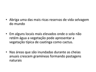 Abriga uma das mais ricas reservas de vida selvagem do mundo Em alguns locais mais elevados onde o solo não retém água a vegetação pode apresentar a vegetação típica de caatinga como cactus. Nas áreas que são inundadas durante as cheias anuais crescem gramíneas formando pastagens naturais 