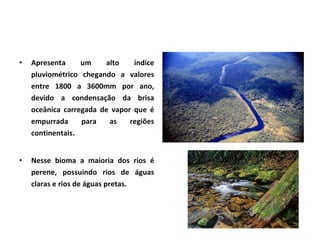 Apresenta um alto índice pluviométrico chegando a valores entre 1800 a 3600mm por ano, devido a condensação da brisa oceânica carregada de vapor que é empurrada para as regiões continentais . Nesse bioma a maioria dos rios é perene, possuindo rios de águas claras e rios de águas pretas. 