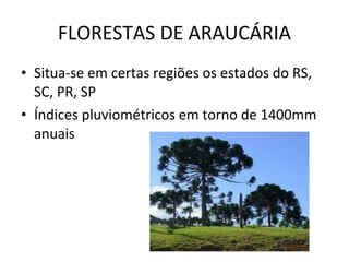 FLORESTAS DE ARAUCÁRIA Situa-se em certas regiões os estados do RS, SC, PR, SP Índices pluviométricos em torno de 1400mm anuais 