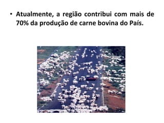 Atualmente, a região contribui com mais de 70% da produção de carne bovina do País. 