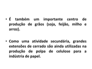 É também um importante centro de produção de grãos (soja, feijão, milho e arroz). Como uma atividade secundária, grandes extensões de cerrado são ainda utilizadas na produção de polpa de celulose para a indústria de papel. 