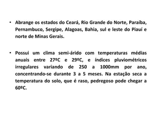 Abrange os estados do Ceará, Rio Grande do Norte, Paraíba, Pernambuco, Sergipe, Alagoas, Bahia, sul e leste do Piauí e norte de Minas Gerais. Possui um clima semi-árido com temperaturas médias anuais entre 27ºC e 29ºC, e índices pluviométricos irregulares variando de 250 a 1000mm por ano, concentrando-se durante 3 a 5 meses. Na estação seca a temperatura do solo, que é raso, pedregoso pode chegar a 60ºC. 