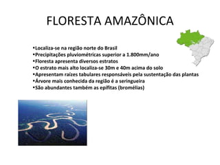 FLORESTA AMAZÔNICA Localiza-se na região norte do Brasil Precipitações pluviométricas superior a 1.800mm/ano Floresta apresenta diversos estratos O estrato mais alto localiza-se 30m e 40m acima do solo Apresentam raízes tabulares responsáveis pela sustentação das plantas Árvore mais conhecida da região é a seringueira São abundantes também as epífitas (bromélias) 