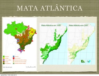 MATA ATLÂNTICA




quarta-feira, 16 de maio de 12
 