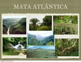 MATA ATLÂNTICA




quarta-feira, 16 de maio de 12
 