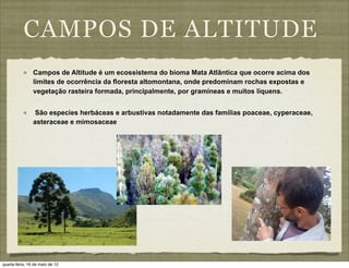 CAMPOS DE ALTITUDE
                Campos de Altitude é um ecossistema do bioma Mata Atlântica que ocorre acima dos
                limites de ocorrência da floresta altomontana, onde predominam rochas expostas e
                vegetação rasteira formada, principalmente, por gramíneas e muitos líquens.


                São especies herbáceas e arbustivas notadamente das famílias poaceae, cyperaceae,
                asteraceae e mimosaceae




quarta-feira, 16 de maio de 12
 