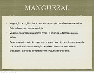 MANGUEZAL

           •      Vegetação de regiões litorâneas, inundáveis por ocasião das marés altas.

           •      Solo salino e com pouco oxigênio.

           •      Vegetais pneumatóforos (raízes áreas) e halófitos (adaptadas ao solo
                  salino).

           •      Desempenha importante papel para a fauna para diversos tipos de animais,
                  por ser utilizado para reprodução de peixes, moluscos, moluscos e
                  crustáceos, e área de alimentação de aves, mamíferos e etc.




quarta-feira, 16 de maio de 12
 