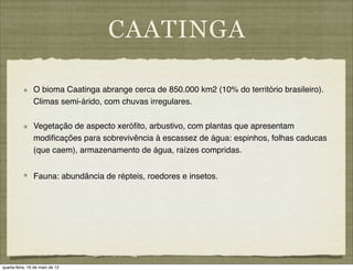 CAATINGA

                O bioma Caatinga abrange cerca de 850.000 km2 (10% do território brasileiro).
                Climas semi-árido, com chuvas irregulares.

                Vegetação de aspecto xeróﬁto, arbustivo, com plantas que apresentam
                modiﬁcações para sobrevivência à escassez de água: espinhos, folhas caducas
                (que caem), armazenamento de água, raízes compridas.


                Fauna: abundância de répteis, roedores e insetos.




quarta-feira, 16 de maio de 12
 