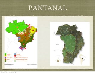 PANTANAL




quarta-feira, 16 de maio de 12
 