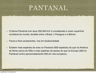 PANTANAL


                O bioma Pantanal com seus 250.000 km2 é considerado a maior superfície
                inundável do mundo, dividido entre o Brasil, o Paraguai e a Bolívia.

                Fauna e ﬂora exuberantes, rica em biodiversidade

                Existem mais espécies de aves no Pantanal (656 espécies) do que na América
                do Norte (cerca de 500) e mais espécies de peixes do que na Europa (263 no
                Pantanal contra aproximadamente 200 em rios europeus).




quarta-feira, 16 de maio de 12
 