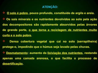ATENÇÃO:
 O solo é pobre, pouco profundo, constituído de argila e areia.

 Os sais minerais e os nutrientes devolvidos ao solo pela ação
dos decompositores são rapidamente absorvidos pelas árvores
de grande porte, o que torna a reciclagem de nutrientes muito
curta e o solo pobre.
    Densa cobertura vegetal que cai no solo (serrapilheira)
protege-o, impedindo que o húmus seja lavado pelas chuvas.
 Desmatamento: aumento da lixiviação dos nutrientes, restando
apenas uma camada arenosa, o que facilita o processo de
desertificação.
 