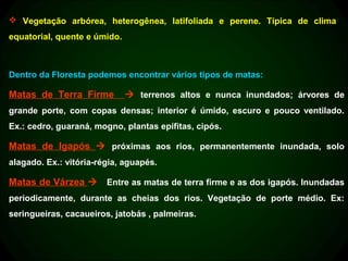  Vegetação arbórea, heterogênea, latifoliada e perene. Típica de clima
equatorial, quente e úmido.



Dentro da Floresta podemos encontrar vários tipos de matas:

Matas de Terra Firme           terrenos altos e nunca inundados; árvores de
grande porte, com copas densas; interior é úmido, escuro e pouco ventilado.
Ex.: cedro, guaraná, mogno, plantas epífitas, cipós.

Matas de Igapós  próximas aos rios, permanentemente inundada, solo
alagado. Ex.: vitória-régia, aguapés.

Matas de Várzea  Entre as matas de terra firme e as dos igapós. Inundadas
periodicamente, durante as cheias dos rios. Vegetação de porte médio. Ex:
seringueiras, cacaueiros, jatobás , palmeiras.
 
