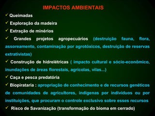 IMPACTOS AMBIENTAIS
 Queimadas

 Exploração da madeira
 Extração de minérios
   Grandes      projetos   agropecuários    (destruição   fauna,   flora,
assoreamento, contaminação por agrotóxicos, destruição de reservas
extrativistas)
 Construção de hidrelétricas ( impacto cultural e sócio-econômico,
inundações de áreas florestais, agrícolas, vilas...)
 Caça e pesca predatória
 Biopirataria : apropriação de conhecimento e de recursos genéticos
de comunidades de agricultores, indígenas por indivíduos ou por
instituições, que procuram o controle exclusivo sobre esses recursos
 Risco de Savanização (transformação do bioma em cerrado)
 