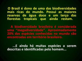 O Brasil é dono de uma das biodiversidades
mais ricas do mundo. Possui as maiores
reservas de água doce e um terço das
florestas tropicais que ainda restam.

  A biodiversidade brasileira é considerada
uma “megadiversidade”. Aproximadamente
20% das espécies conhecidas no mundo são
encontradas em território brasileiro.

   ...E ainda há muitas espécies a serem
descritas e identificadas pelo homem...
 