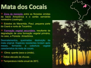  Zona de transição entre as florestas úmidas
da bacia Amazônica e o sertão semiárido
nordestino (caatinga).
 Estados do Maranhão, Piauí, pequena parte
do Ceará e norte de Tocantins
 Formação vegetal secundária, resultante da
degradação de uma formação vegetal primária,
no caso, a Floresta Amazônica.
Desmatamentos, queimadas: destruição da
mata original. Espécies resistentes brotam após
meses,      formando    a   cobertura    vegetal
característica da mata de cocais.
 Clima: quente (seco a úmido).
 Índice elevado de chuvas .
 Temperatura média anual de 260C.
 