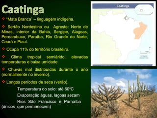  “Mata Branca” – linguagem indígena.
 Sertão Nordestino ou Agreste: Norte de
Minas, interior da Bahia, Sergipe, Alagoas,
Pernambuco, Paraíba, Rio Grande do Norte,
Ceará e Piauí.
 Ocupa 11% do território brasileiro.
 Clima tropical semiárido,             elevadas
temperaturas e baixa umidade.
 Chuvas mal distribuídas durante o ano
(normalmente no inverno).
 Longos períodos de seca (verão).
        Temperatura do solo: até 600C
        Evaporação águas, lagoas secam
        Rios São Francisco e Parnaíba
(únicos que permanecem)
 