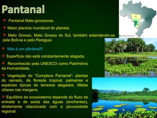  Pantanal Mato-grossense.
 Maior planície inundável do planeta.
 Mato Grosso, Mato Grosso do Sul, também estendendo-se
pela Bolívia e pelo Paraguai.

 Não é um pântano!!!
 Superfície não está constantemente alagada.
 Reconhecido pela UNESCO como Patrimônio
da Humanidade.
 Vegetação do “Complexo Pantanal”: plantas
do cerrado, da floresta tropical, palmeiras e
espécies típicas de terrenos alagados. Matas
ciliares nas margens.
 Equilíbrio do ecossistema depende do fluxo de
entrada e de saída das águas (enchentes),
diretamente relacionado com a pluviosidade
regional.
 