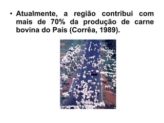 • Atualmente, a região contribui com
mais de 70% da produção de carne
bovina do País (Corrêa, 1989).
 