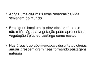 • Abriga uma das mais ricas reservas de vida
selvagem do mundo
• Em alguns locais mais elevados onde o solo
não retém água a vegetação pode apresentar a
vegetação típica de caatinga como cactus
• Nas áreas que são inundadas durante as cheias
anuais crescem gramíneas formando pastagens
naturais
 