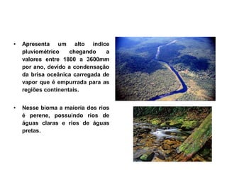 • Apresenta um alto índice
pluviométrico chegando a
valores entre 1800 a 3600mm
por ano, devido a condensação
da brisa oceânica carregada de
vapor que é empurrada para as
regiões continentais.
• Nesse bioma a maioria dos rios
é perene, possuindo rios de
águas claras e rios de águas
pretas.
 