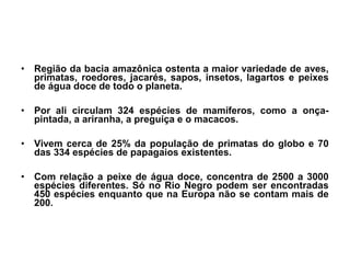 • Região da bacia amazônica ostenta a maior variedade de aves,
primatas, roedores, jacarés, sapos, insetos, lagartos e peixes
de água doce de todo o planeta.
• Por ali circulam 324 espécies de mamíferos, como a onça-
pintada, a ariranha, a preguiça e o macacos.
• Vivem cerca de 25% da população de primatas do globo e 70
das 334 espécies de papagaios existentes.
• Com relação a peixe de água doce, concentra de 2500 a 3000
espécies diferentes. Só no Rio Negro podem ser encontradas
450 espécies enquanto que na Europa não se contam mais de
200.
 