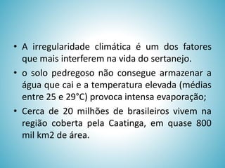 • A irregularidade climática é um dos fatores
que mais interferem na vida do sertanejo.
• o solo pedregoso não consegue armazenar a
água que cai e a temperatura elevada (médias
entre 25 e 29°C) provoca intensa evaporação;
• Cerca de 20 milhões de brasileiros vivem na
região coberta pela Caatinga, em quase 800
mil km2 de área.

 