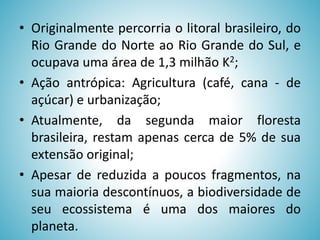 • Originalmente percorria o litoral brasileiro, do
Rio Grande do Norte ao Rio Grande do Sul, e
ocupava uma área de 1,3 milhão K2;
• Ação antrópica: Agricultura (café, cana - de
açúcar) e urbanização;
• Atualmente, da segunda maior floresta
brasileira, restam apenas cerca de 5% de sua
extensão original;
• Apesar de reduzida a poucos fragmentos, na
sua maioria descontínuos, a biodiversidade de
seu ecossistema é uma dos maiores do
planeta.

 