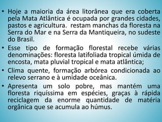 • Hoje a maioria da área litorânea que era coberta
pela Mata Atlântica é ocupada por grandes cidades,
pastos e agricultura. restam manchas da floresta na
Serra do Mar e na Serra da Mantiqueira, no sudeste
do Brasil.
• Esse tipo de formação florestal recebe várias
denominações: floresta latifoliada tropical úmida de
encosta, mata pluvial tropical e mata atlântica;
• Clima quente, formação arbórea condicionada ao
relevo serrano e à umidade oceânica.
• Apresenta um solo pobre, mas mantém uma
floresta riquíssima em espécies, graças à rápida
reciclagem da enorme quantidade de matéria
orgânica que se acumula ao húmus.

 