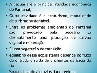 • A pecuária é a principal atividade econômica
do Pantanal;
• Outra atividade é o ecoturismo, modalidade
de turismo sustentável.
• Entre os problemas ambientais do Pantanal
são
provocado
pela
pecuária
,o
desmatamento para produção de carvão
vegetal e mineração;
• É uma vegetação de transição;
• equilíbrio desse ecossistema depende do fluxo
de entrada e saída de enchentes da bacia do
rio

 