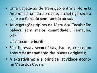 • Uma vegetação de transição entre a Floresta
Amazônica úmida ao oeste, a caatinga seca à
leste e o Cerrado semi-úmido ao sul.
• As vegetações típicas da Mata dos Cocais são:
babaçu (em maior quantidade), carnaúba,
oiticica, tucum e buriti;
• São florestas secundárias, isto é, cresceram
após o desmatamento das plantas originais;
• A extrativismo é a principal atividade econôna Mata dos Cocais.

 