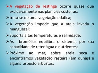 A vegetação de restinga ocorre quase que
exclusivamente nas planícies costeiras;
trata-se de uma vegetação edáfica;
A vegetação impede que a areia invada o
manguezal;
Suporta altas temperaturas e salinidade;
As bromélias equilibra o sistema, por sua
capacidade de reter água e nutrientes;
Próximo ao mar, sobre areia seca e
encontramos vegetação rasteira (em dunas) e
alguns arbusto arbustos.

 