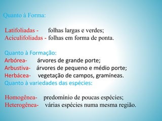Quanto à Forma:
Latifoliadas folhas largas e verdes;
Aciculifoliadas - folhas em forma de ponta.

Quanto à Formação:
Arbóreaárvores de grande porte;
Arbustiva- árvores de pequeno e médio porte;
Herbácea- vegetação de campos, gramíneas.
Quanto à variedades das espécies:
Homogênea- predomínio de poucas espécies;
Heterogênea- várias espécies numa mesma região.

 