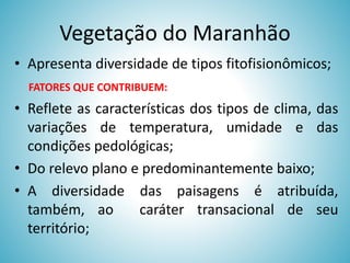 Vegetação do Maranhão
• Apresenta diversidade de tipos fitofisionômicos;
FATORES QUE CONTRIBUEM:

• Reflete as características dos tipos de clima, das
variações de temperatura, umidade e das
condições pedológicas;
• Do relevo plano e predominantemente baixo;
• A diversidade das paisagens é atribuída,
também, ao
caráter transacional de seu
território;

 