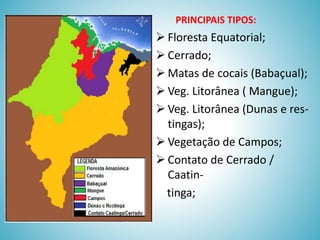 PRINCIPAIS TIPOS:

 Floresta Equatorial;
 Cerrado;
 Matas de cocais (Babaçual);
 Veg. Litorânea ( Mangue);
 Veg. Litorânea (Dunas e restingas);
 Vegetação de Campos;
 Contato de Cerrado /
Caatintinga;

 