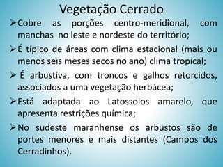 Vegetação Cerrado
Cobre as porções centro-meridional, com
manchas no leste e nordeste do território;
É típico de áreas com clima estacional (mais ou
menos seis meses secos no ano) clima tropical;
 É arbustiva, com troncos e galhos retorcidos,
associados a uma vegetação herbácea;
Está adaptada ao Latossolos amarelo, que
apresenta restrições química;
No sudeste maranhense os arbustos são de
portes menores e mais distantes (Campos dos
Cerradinhos).

 
