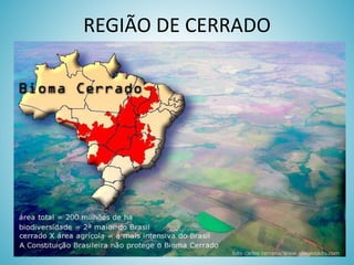 REGIÃO DE CERRADO

 