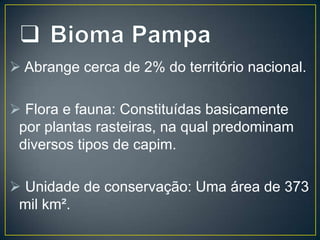  Abrange cerca de 2% do território nacional.
 Flora e fauna: Constituídas basicamente
por plantas rasteiras, na qual predominam
diversos tipos de capim.
 Unidade de conservação: Uma área de 373
mil km².

 