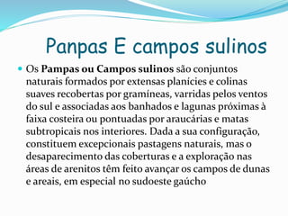 Panpas E campos sulinos 
 Os Pampas ou Campos sulinos são conjuntos 
naturais formados por extensas planícies e colinas 
suaves recobertas por gramíneas, varridas pelos ventos 
do sul e associadas aos banhados e lagunas próximas à 
faixa costeira ou pontuadas por araucárias e matas 
subtropicais nos interiores. Dada a sua configuração, 
constituem excepcionais pastagens naturais, mas o 
desaparecimento das coberturas e a exploração nas 
áreas de arenitos têm feito avançar os campos de dunas 
e areais, em especial no sudoeste gaúcho 
 