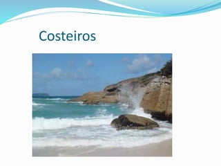 Costeiros 
 