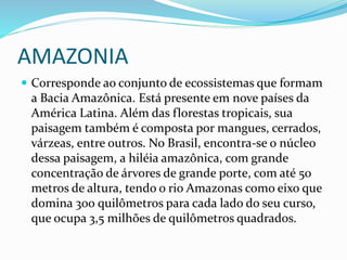 AMAZONIA 
 Corresponde ao conjunto de ecossistemas que formam 
a Bacia Amazônica. Está presente em nove países da 
América Latina. Além das florestas tropicais, sua 
paisagem também é composta por mangues, cerrados, 
várzeas, entre outros. No Brasil, encontra-se o núcleo 
dessa paisagem, a hiléia amazônica, com grande 
concentração de árvores de grande porte, com até 50 
metros de altura, tendo o rio Amazonas como eixo que 
domina 300 quilômetros para cada lado do seu curso, 
que ocupa 3,5 milhões de quilômetros quadrados. 
 